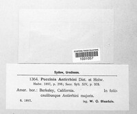 Image Associated With the Occurence